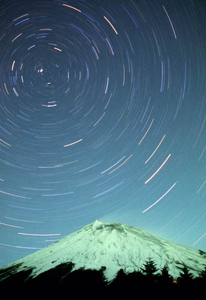 �x�m�R�̏�̂����܍�