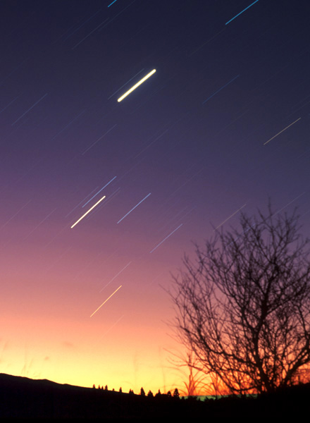 ���Ă��ɏ��邳����