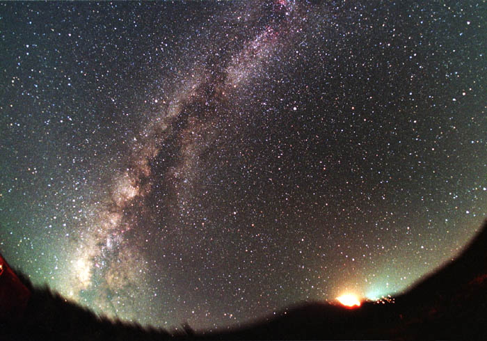 �x�m�R�ɒ����V�̐�