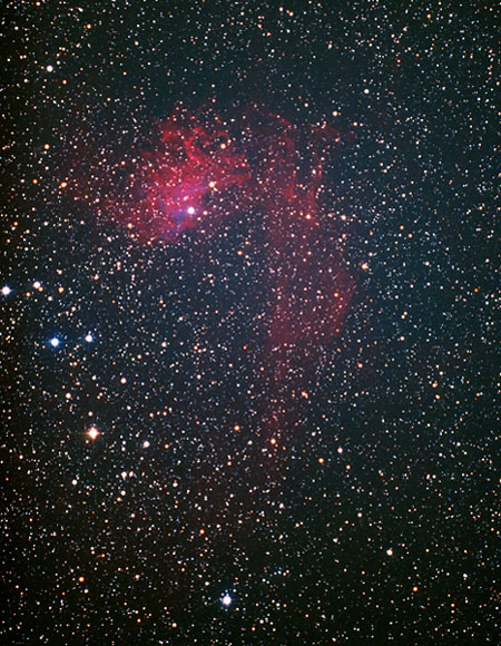 �h�b�S�O�T