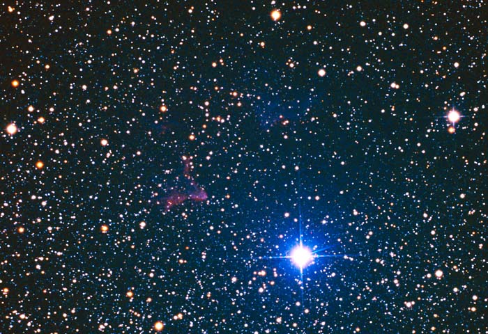 �h�b�T�X���U�R