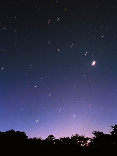 �閾���̂�����