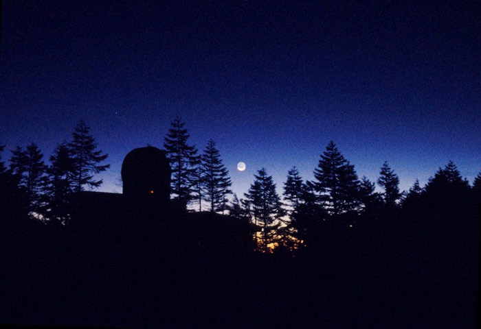 ���}�R�ł̖閾��