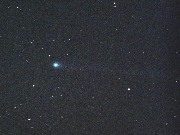 �u�����Z���E���g�J�[�t�a��