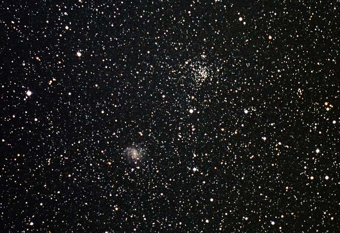 �m�f�b�U�X�R�X���m�f�b�U�X�S�U