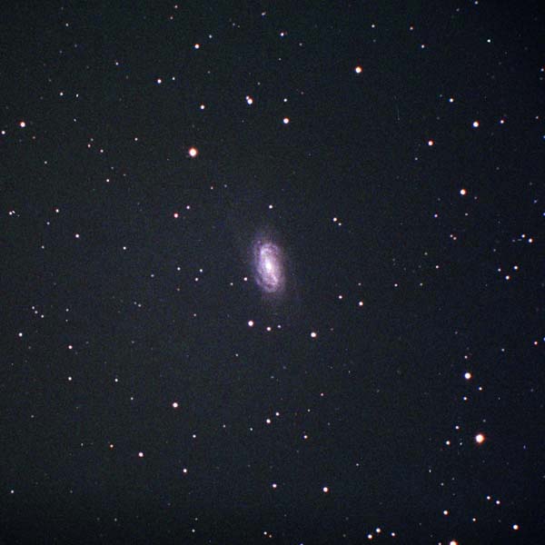 �m�f�b�Q�X�O�R