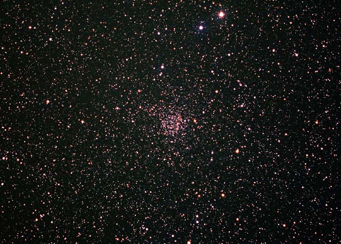 �m�f�b�V�V�W�X