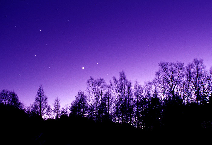 ����т������̗[���