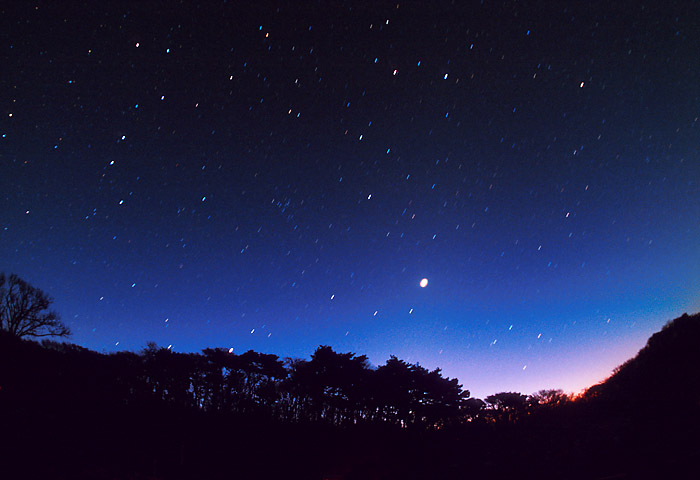 ���Ă��ɏ���t�̐����B