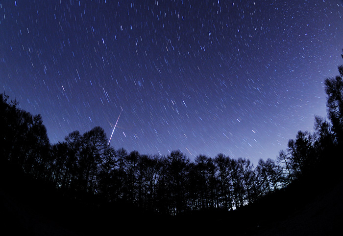 �l���V�Q�΋�