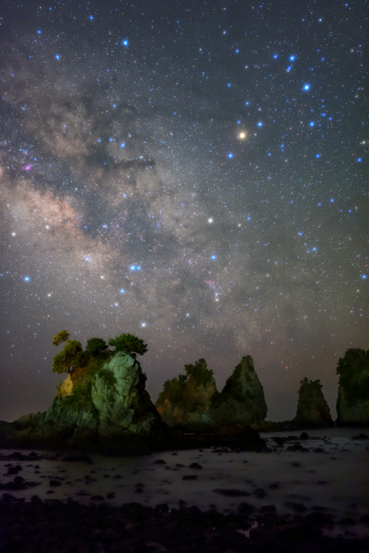 ���X����Ẳ���