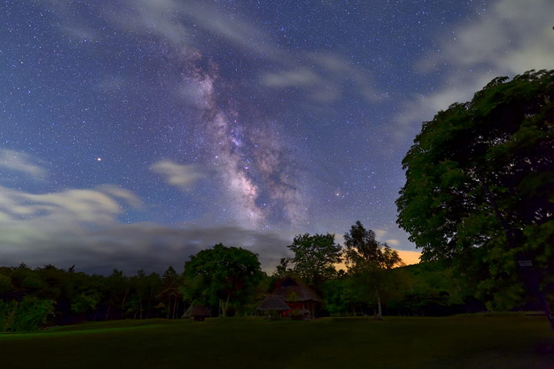 �悤�₭�o����V�̐�