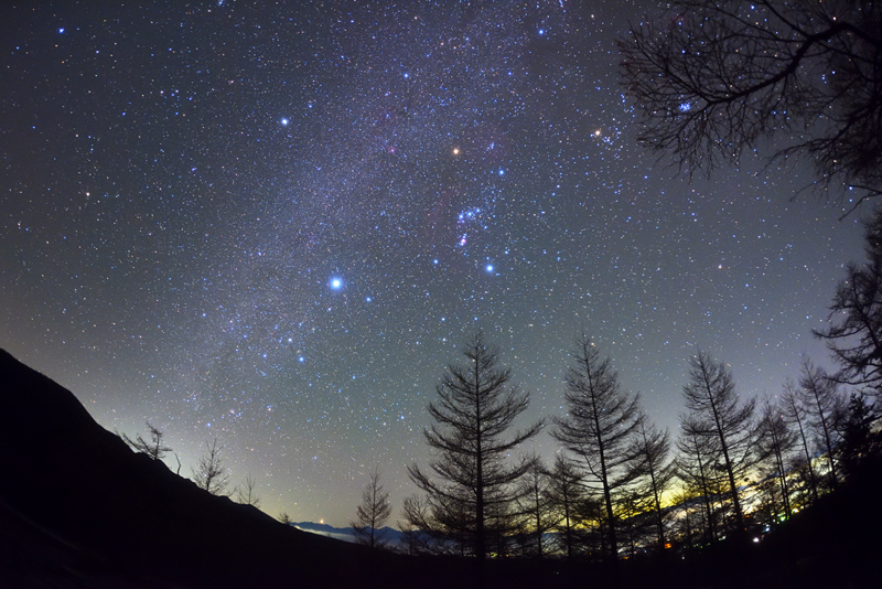 �~�{�Ԃ̐���