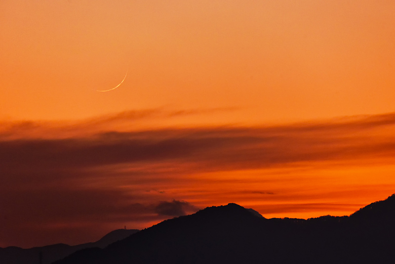 ����25����