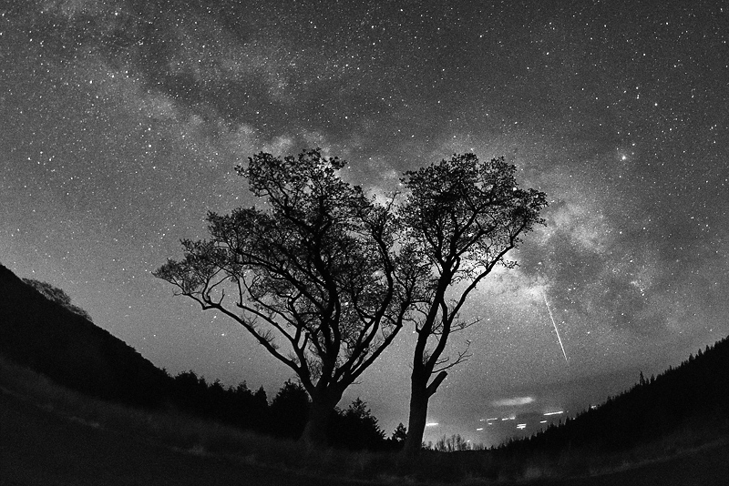 �L���Ɏc�鎞