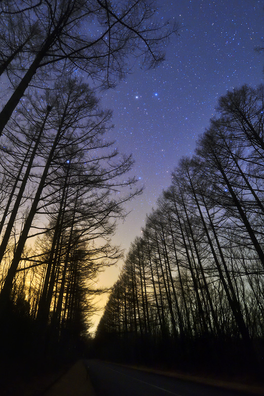 ���؂̏�ŗV�ԌZ��