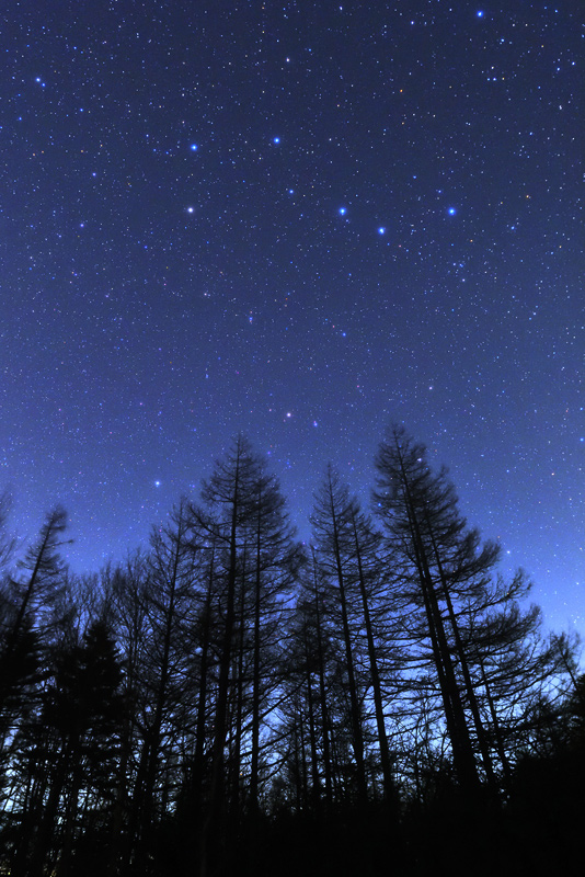 ���ۓV����