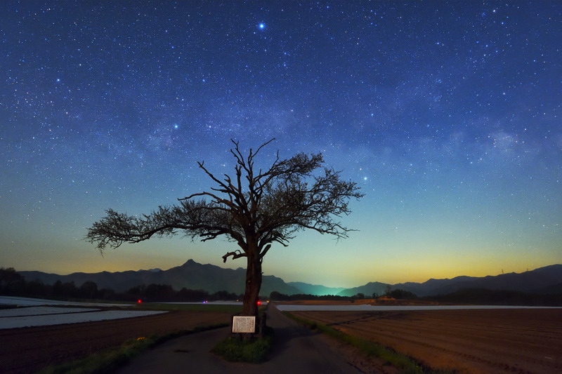 ��������𗁂т�