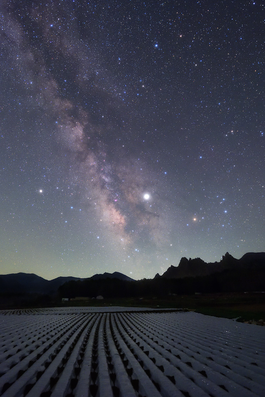 �������̓V�̐�