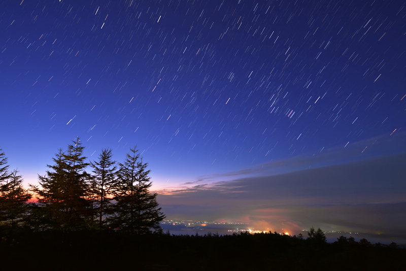 �閾���̃I���I��