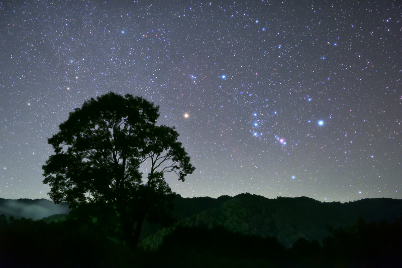 �I���I���̋G��