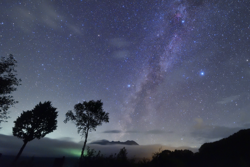 �����A����Ă�I