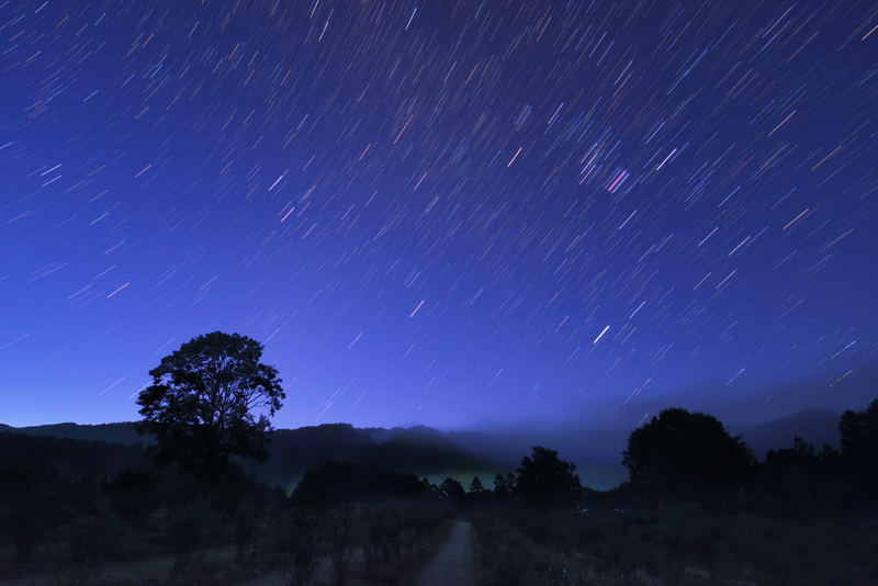 �閾���ɗn����