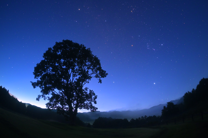 ��������肪�Ƃ�