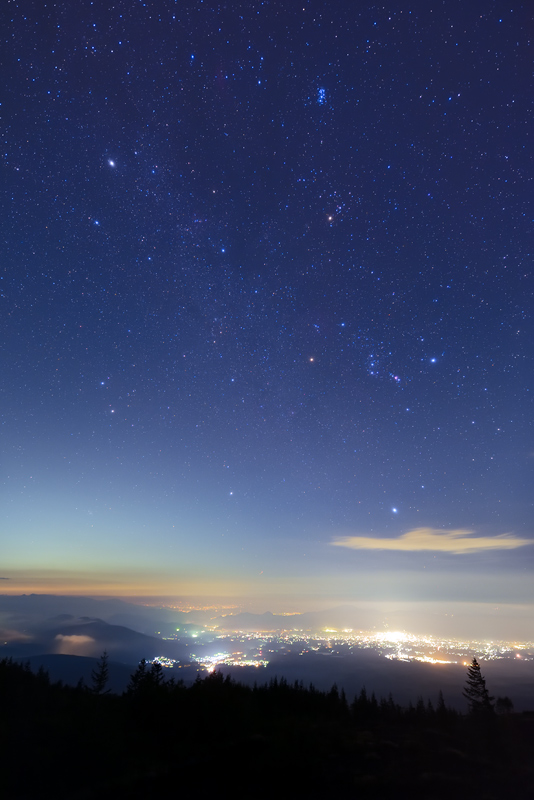 �_�C���̋P��