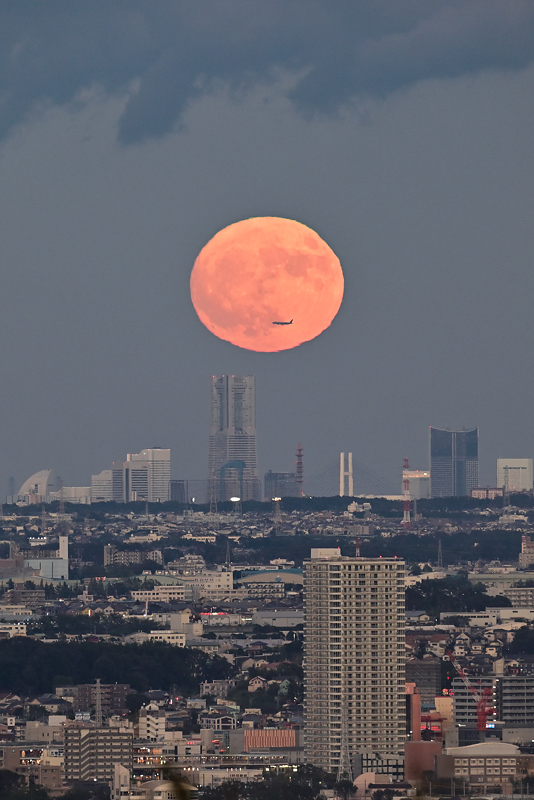 �䕗��߂ɏ��錎