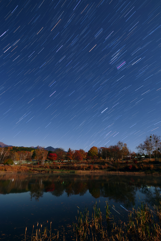 ����̃v���[���g