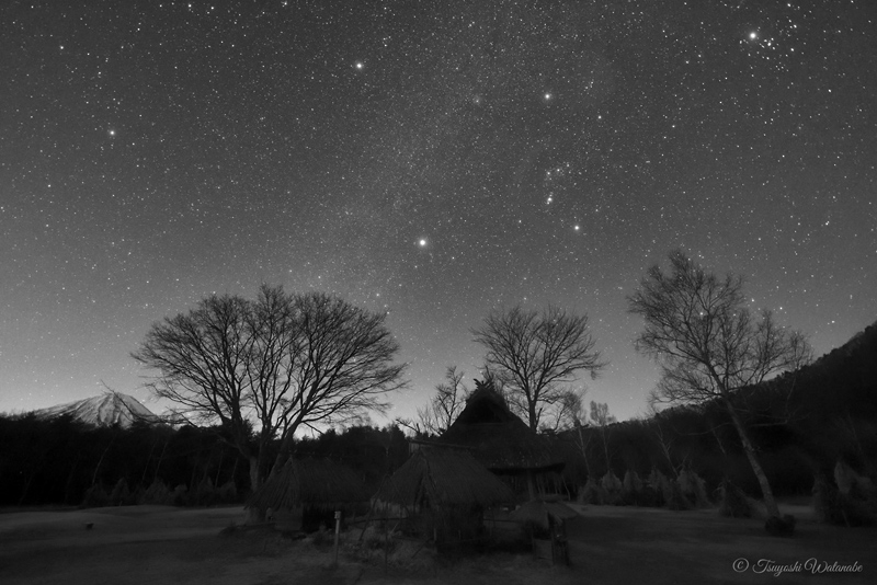 �Â��ȔN�z��