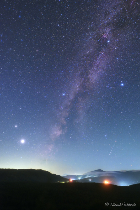 ��͂𖲌���