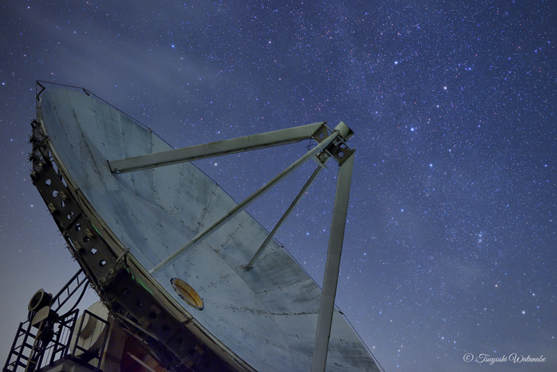 ������グ��