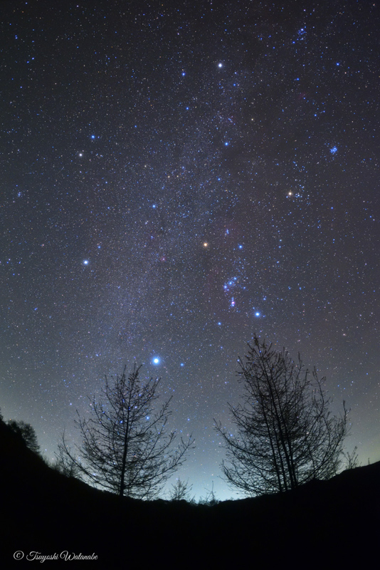 �V�̃_�C�����x�����n