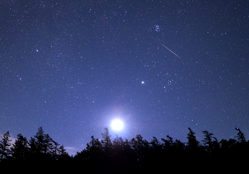 ����̗��ꐯ