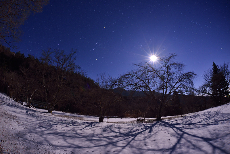 ��̂�����