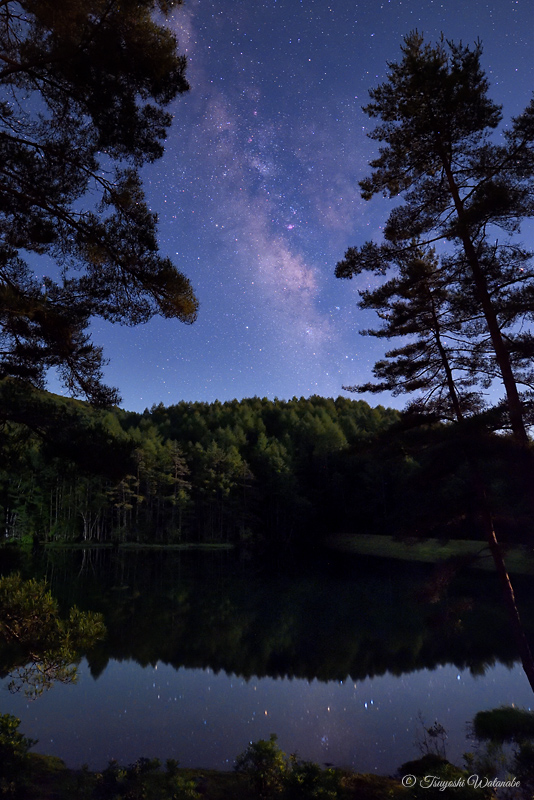 �������Ɛ�̗���