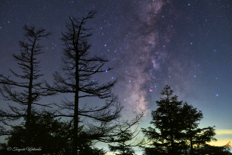 �����̐���