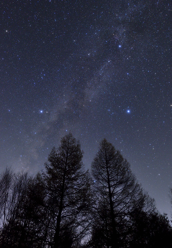 ���グ��H��