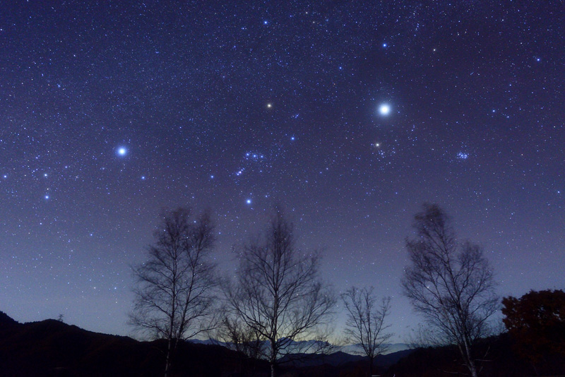 �ӏH�̖閾���ԋ�