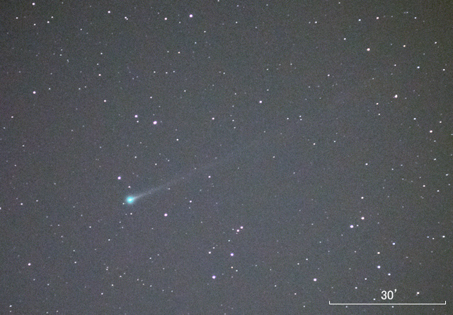 �{�c�E�����R�X�E�p�W���T�R�o���j�A�a��