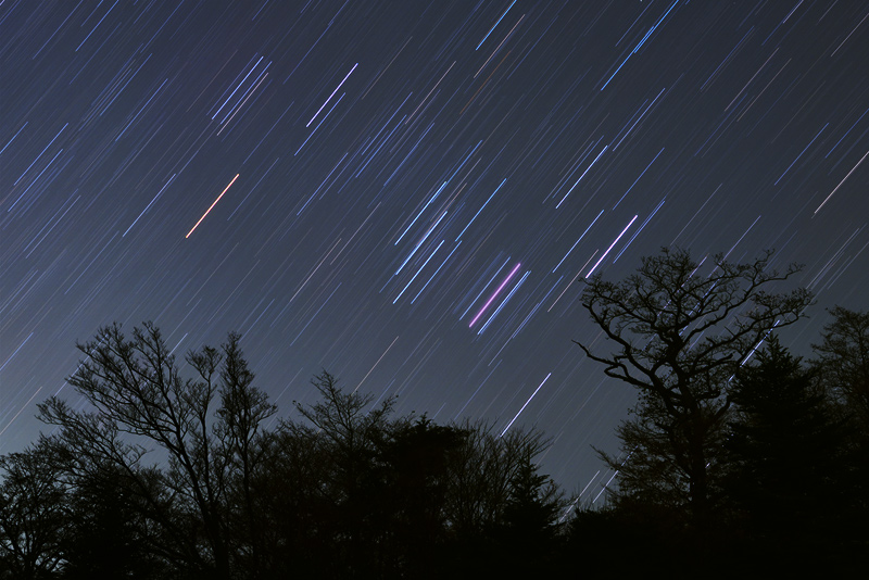 �~�{�Ԃ�O�ɂ���