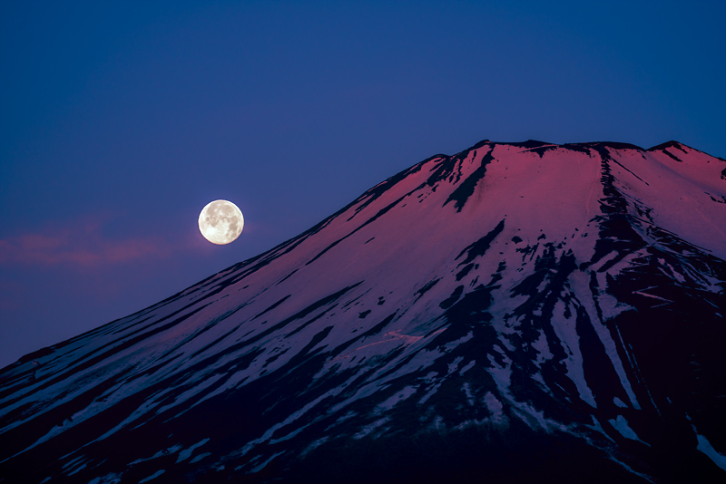 �L�����̌�