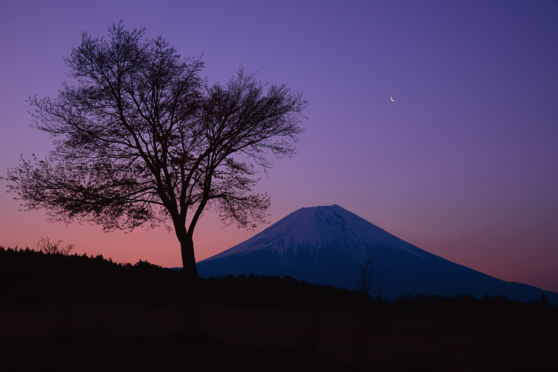 �閾���̌�