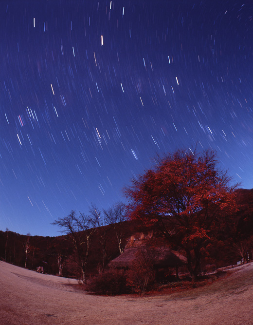 �ӏH�̐���