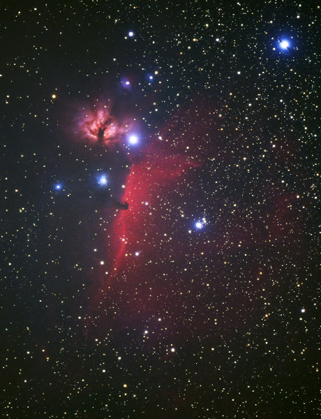 �n�����_