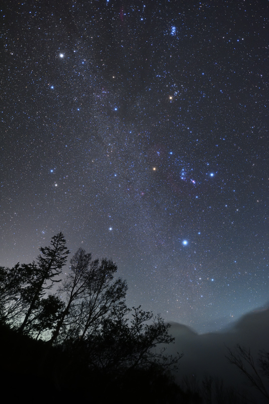 �_��̃_�C��