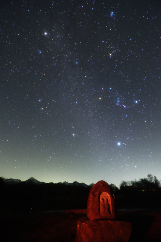 �����̖�