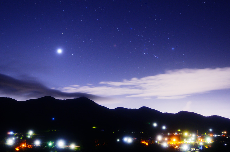 �閾���̃t�@���^�W�[